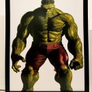 Incredible Immortal Hulk Timeless by Alex Ross FRAMED 11x14 Art Print Marvel Com