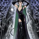 Catwoman by Joelle Jones FRAMED 12x16 Art Print DC Comics Poster