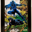 Black Panther by Bill Reinhold 11x14 FRAMED Marvel Comics Art Print Poster