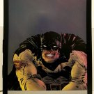 Batman Dark Knight Master Race by Paul Pope 11x14 FRAMED DC Comics Art Print Pos