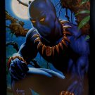 Black Panther Marvel Masterpieces by Joe Jusko 9x12 FRAMED Comics Art Print