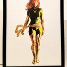 Jean Grey Phoenix X-Men Timeless by Alex Ross FRAMED 11x14 Art Print Marvel Comi