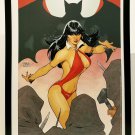 Vampirella 12x16 FRAMED Art Print by Rachel & Terry Dodson (from #2) NEW comic p