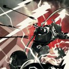Green Arrow by James Jean FRAMED 12x16 Art Print DC Comics Poster
