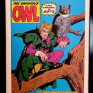 Daredevil Owl by Gene Colan 9x12 FRAMED Marvel Comics Vintage Art Print Poster