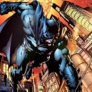 Batman 12x16 FRAMED Art Print by David Finch, New DC Comics
