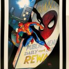 Amazing Spider-Man by Frank Cho 11x14 FRAMED Marvel Comics Art Print Poster