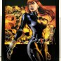 Black Widow by J.G. Jones 11x14 FRAMED Marvel Comics Art Print Poster