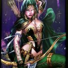 Robyn Hood by Eric Basaldua 12x16 FRAMED Art Print Zenescope Grimm Fairy Tales C