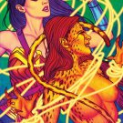 Wonder Woman vs Cheetah by Jenny Frison FRAMED 12x16 Art Print DC Comics Poster