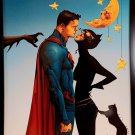 Superman & Catwoman by Jae Lee 11x14 FRAMED DC Comics Art Print Poster