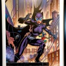 Catwoman and Batman by Jim Lee FRAMED 12x16 Art Print DC Comics Poster