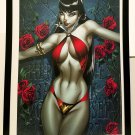 Vampirella 12x16 FRAMED Art Print by J. Scott Campbell (from #1) NEW comic poste