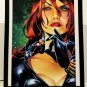 Black Widow Ant-Man by Amanda Conner 11x14 FRAMED Marvel Comics Art Print Poster