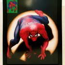 Spectacular Spider-Man homage by Alex Ross 9x12 FRAMED Marvel Art Print Poster