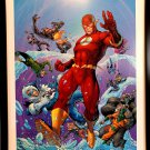 Flash Rogue's Gallery by Jim Lee FRAMED 12x16 Art Print DC Comics Poster