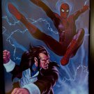 Spider-Man Morlun Marvel Masterpieces by Joe Jusko 9x12 FRAMED Comics Art Print