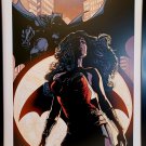Wonder Woman & Batman by Joelle Jones FRAMED 12x16 Art Print DC Comics Poster