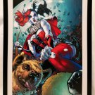 Harley Quinn by Clay Mann FRAMED 12x16 Art Print Poster DC Comics