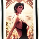 Catwoman Selina Kyle by Stanley Artgerm Lau FRAMED 12x16 Art Print DC Comics Pos