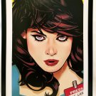 Lois Lane by Adam Hughes FRAMED 12x16 Art Print DC Comics Poster