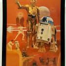 Star Wars C3PO R2D2 by Del Nichols 1977 9x12 FRAMED Art Print Movie Poster