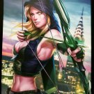 Robyn Hood by Stanley Artgerm Lau 12x16 FRAMED Art Print Zenescope Comics