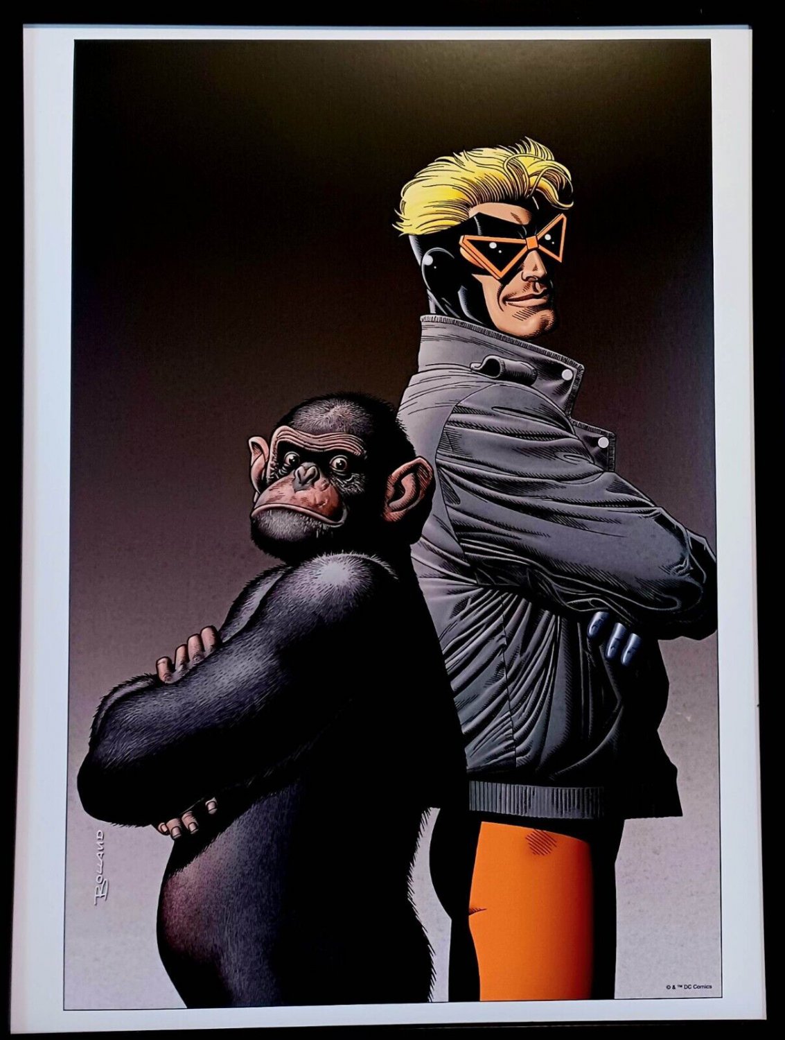 Animal Man by Brian Bolland FRAMED 12x16 Art Print DC Comics Poster