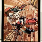 Harley Quinn by Neil Googe 11x14 FRAMED DC Comics Art Print Poster