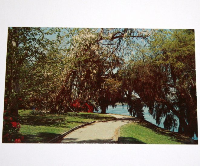 Post Card Highway 61 Summerville Road Charleston South Carolina