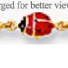 14kt Gold Anklet Titled - Lady Bug Dance