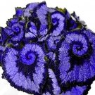Beautiful 25 Seeds Two Tone Purple Rex Begonia TY14 FREE SHIPPING