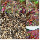 200 Pcs Mixed Perennial Flower Seeds Collection MN05 FREE SHIPPING