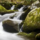 Stories in the Water - 20"x 30" Signed Print