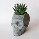 Artistic Concrete Skull Vase: Unique Home Decor Accent for Modern Interiors