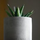 Durable Concrete Planters - Modern Indoor & Outdoor Cachepots