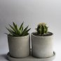 Durable Concrete Planters - Modern Indoor & Outdoor Cachepots