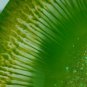 Lively Lime Epoxy Resin Fruit Bowl and Stand Ensemble - Vibrant Home Decor and Storage Solution
