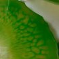 Lively Lime Epoxy Resin Fruit Bowl and Stand Ensemble - Vibrant Home Decor and Storage Solution