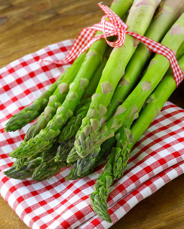 1 Gram Asparagus Mary Washington Seeds Vegetable Plant