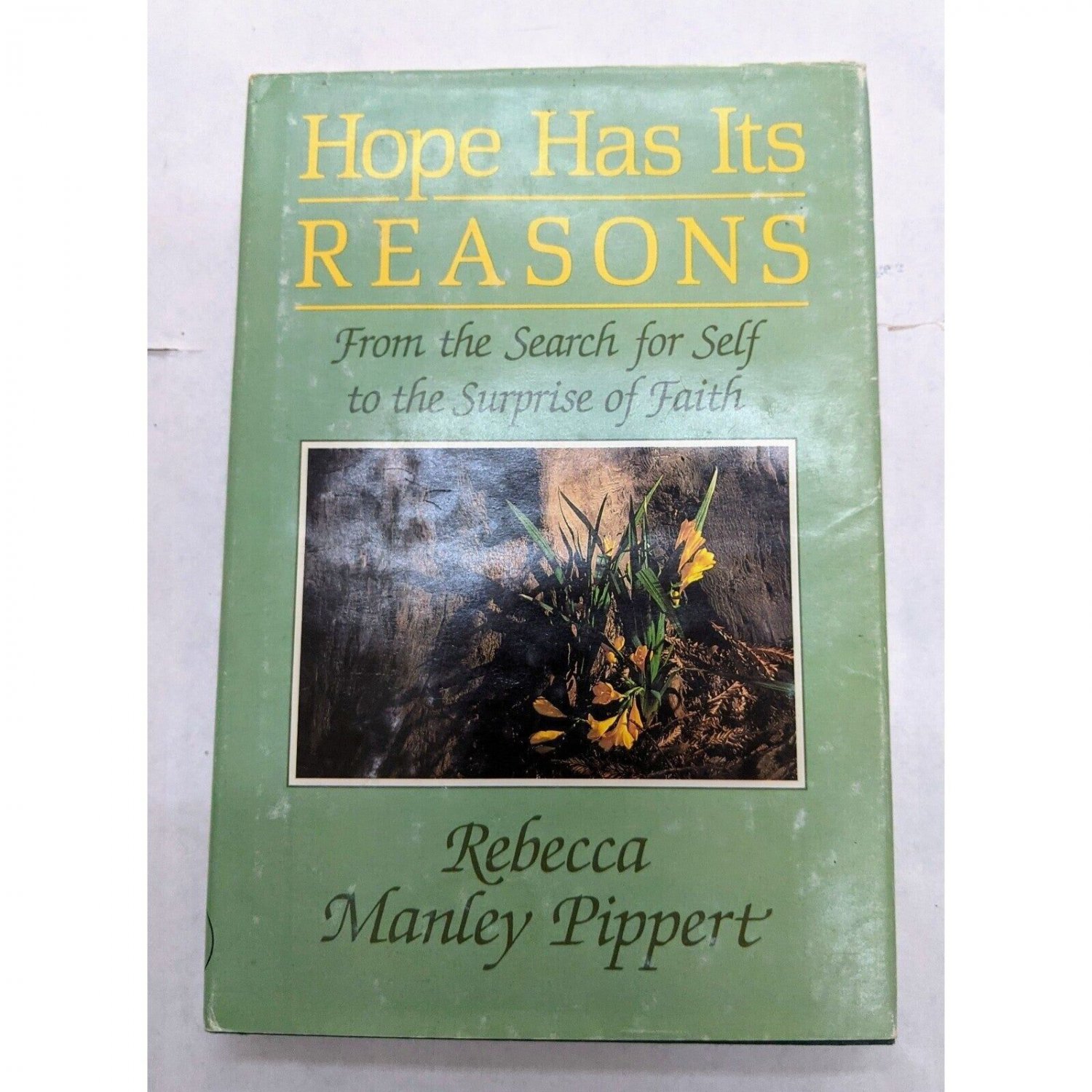 Hope Has It's Reasons by Rebecca Manley Pippert Book