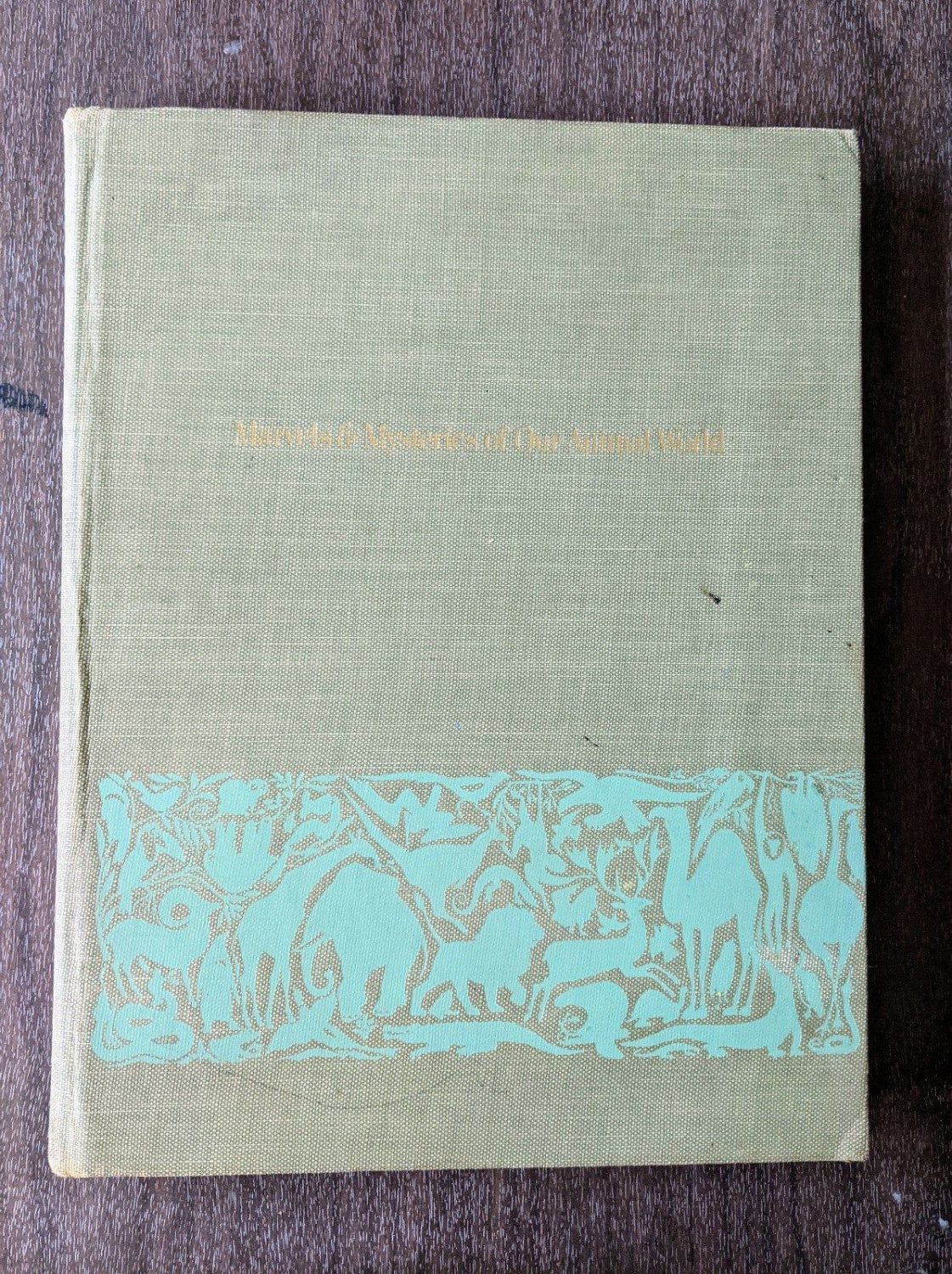 marvels and mysteries of our animal world 1964