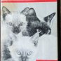 Antique Boy Scout Book Set of 6