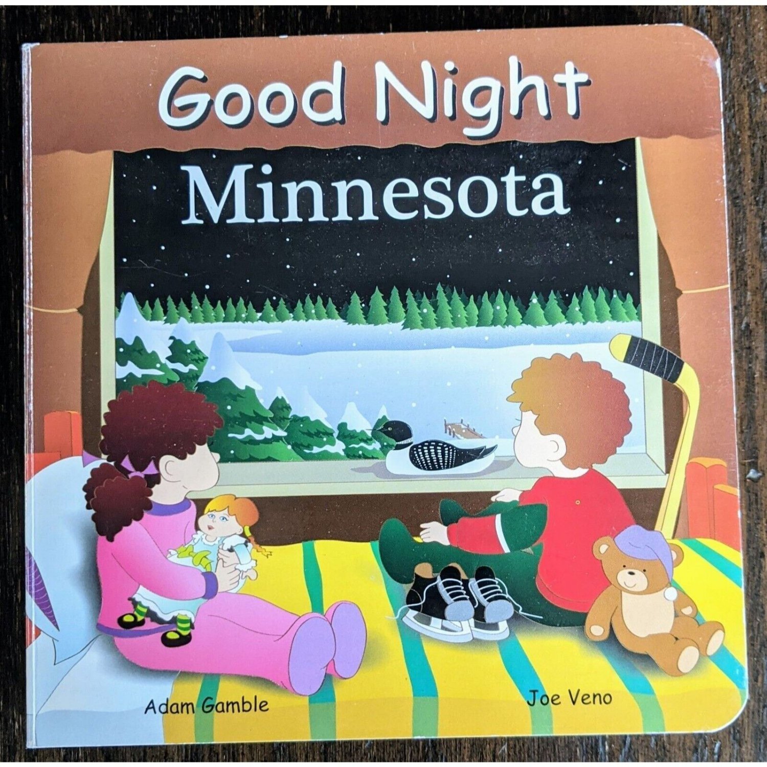Good Night Minnesota by Adam Gamble