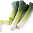 Wonderful Leeks Allium porrum Garden Plant