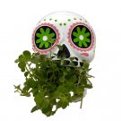 Wonderful White and Green Sugar Skull Ceramic er Garden Plant