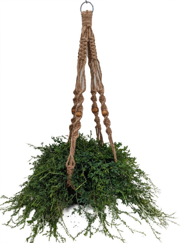 Wonderful Natural Jute Macrame Garden Plant