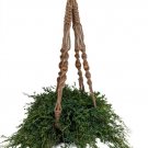 Wonderful Natural Jute Macrame Garden Plant
