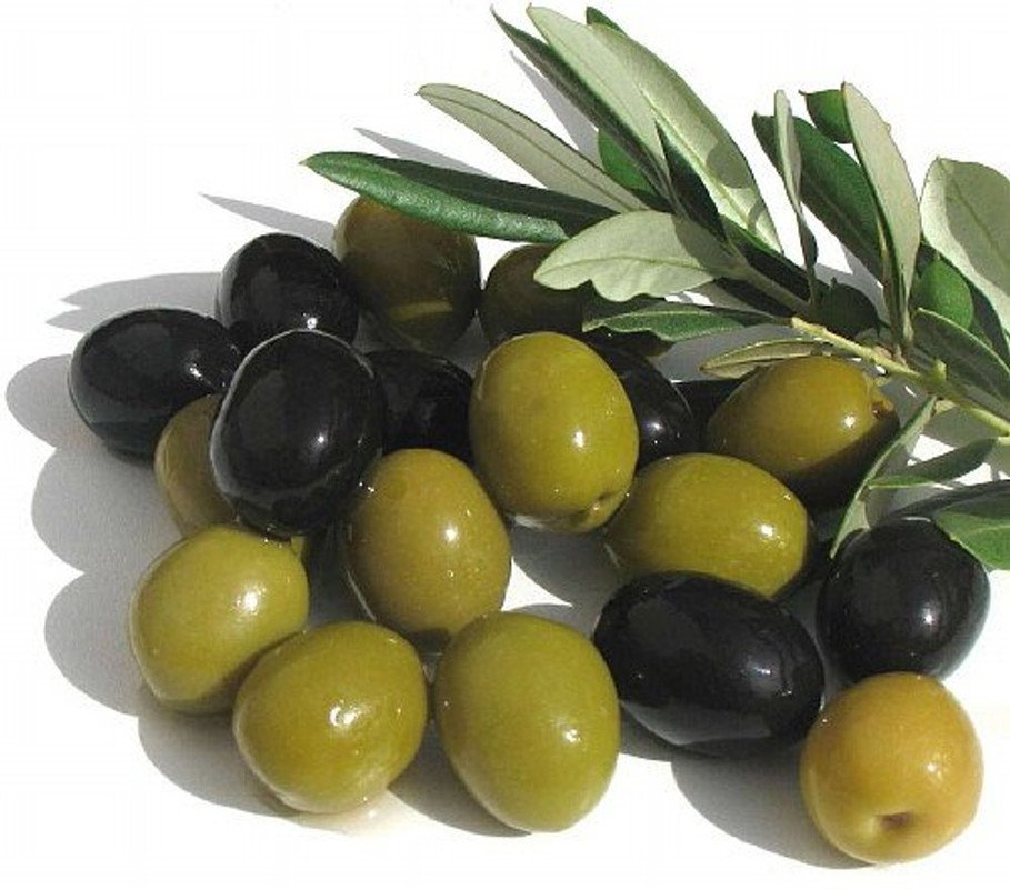 Wonderful Olea Arbequina Large Olive Tree Garden Plant