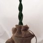 Wonderful Sanseveria Snake in a Bag Braided Exotic Garden Plant